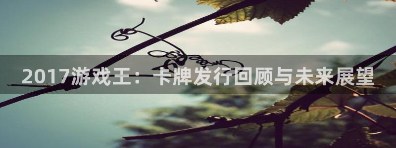 杏耀官网下载分分彩：2017游戏王：卡牌发行回顾与未来展望