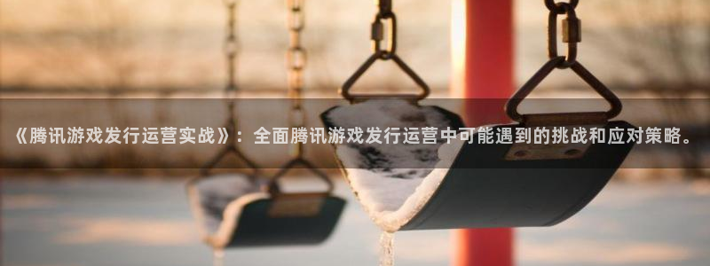 杏耀子出版社：《腾讯游戏发行运营实战》：全面腾讯游戏发行运营中可能遇到的挑战和应对策略。