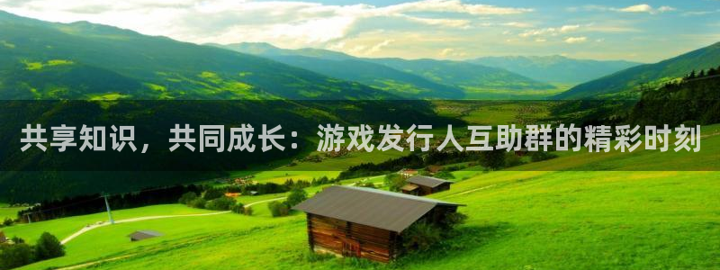 广东杏耀营销策划有限公司：共享知识，共同成长：游戏发行人互助群的精彩时刻