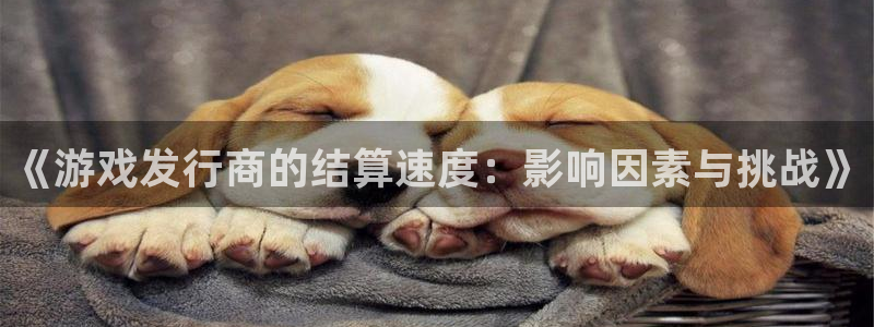 杏耀子年度最佳图书：《游戏发行商的结算速度：影响因素与挑战》