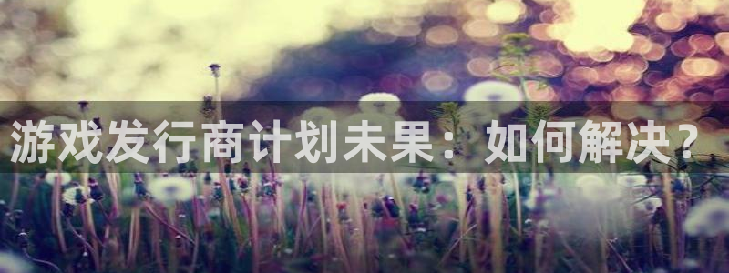 杏耀电子科技：游戏发行商计划未果：如何解决？