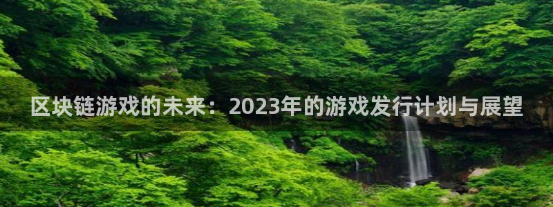 杏耀电子科技怎么样：区块链游戏的未来：2023年的游戏发行计划与展望